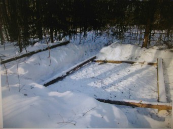 В Соликамске на месте преступления задержали 2 злоумышленников за незаконную рубку леса 1