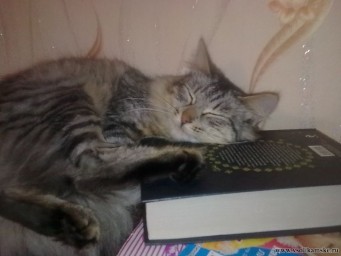 Фотоальбом 29.03.2014