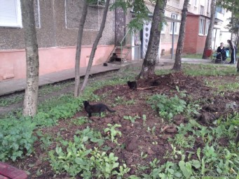 Фотография - загадка