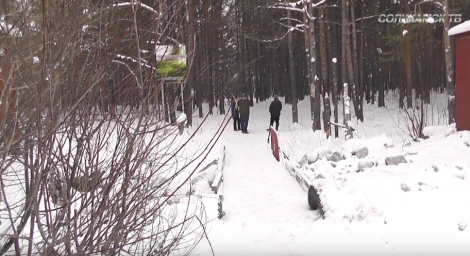 Предприниматель, планировавший вывоз леса через "Тропу здоровья", будет оштрафован