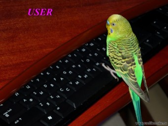 Фотоальбом 11.02.2012