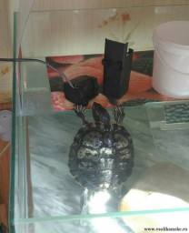 Изучаем матчасть