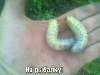 на рыбалку.