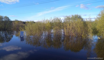 Разлив реки Боровая в Чертеже 2