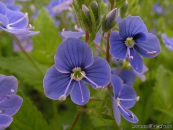 Фотоальбом 06.07.2012