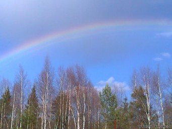 Радуга "прописана" на Клестовке.jpg