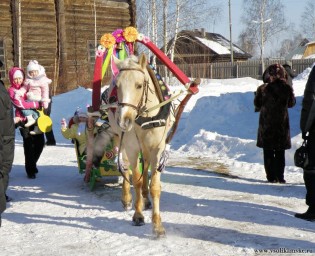 Фото без названия