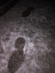 Первый снег 1