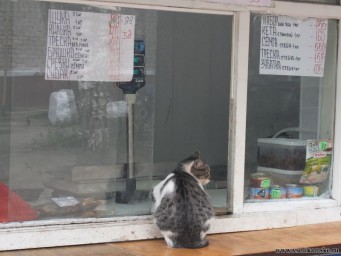 Санкции санкциями, а при чем здесь норвежская сельдь?