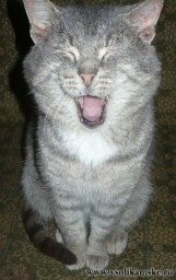 Фотоальбом 14.07.2013