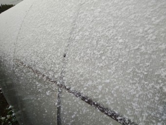 Первый снег 4