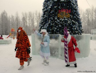 Встреча у елки - 29320
