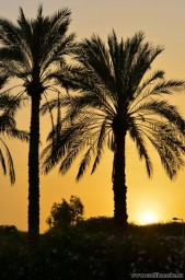 Хождения по Святой земле13133