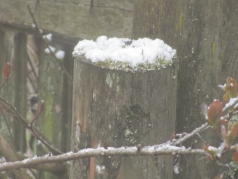 Снег 28 мая 3