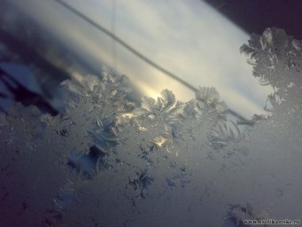 Фото без названия