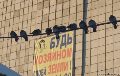 Может пол-гектара себе прикупим?