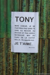 Тони, я тебя люблю