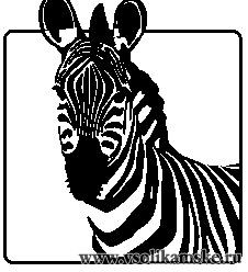 Фотоальбом 14.12.2012