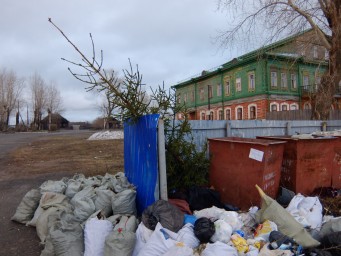 Пришла весна, можно и выкинуть ёлку?