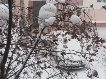 Кого/чего больше...