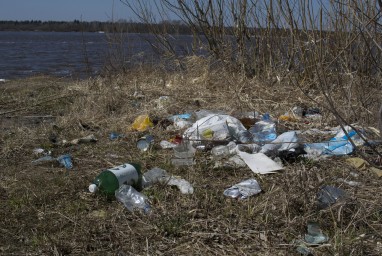 Путин и Трамп 7