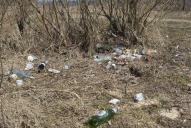 Путин и Трамп 4