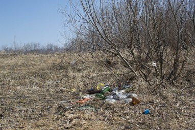 Путин и Трамп 2