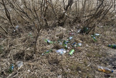 Путин и Трамп 1