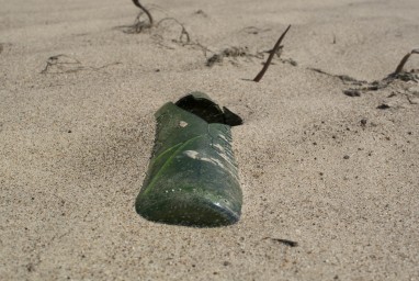 Путин и Трамп 6