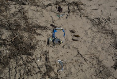 Путин и Трамп 3