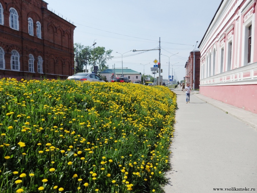 Цветущий Соликамск